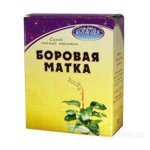 Лечебные свойства боровой матки