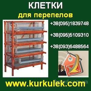 ","www.board.com.ua