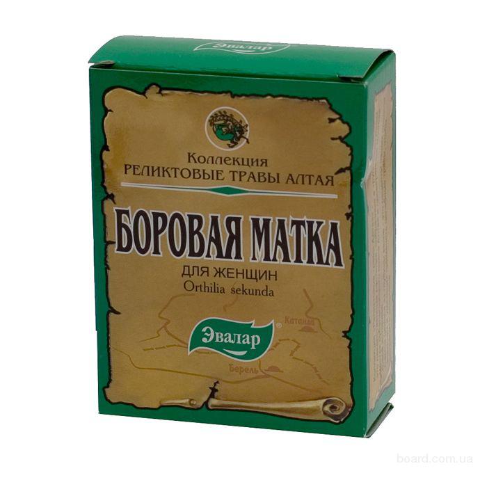 Боровая матка помогает забеременеть при бесплодии