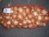 Продам лук репчатый оптом.