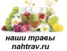 Наши травы