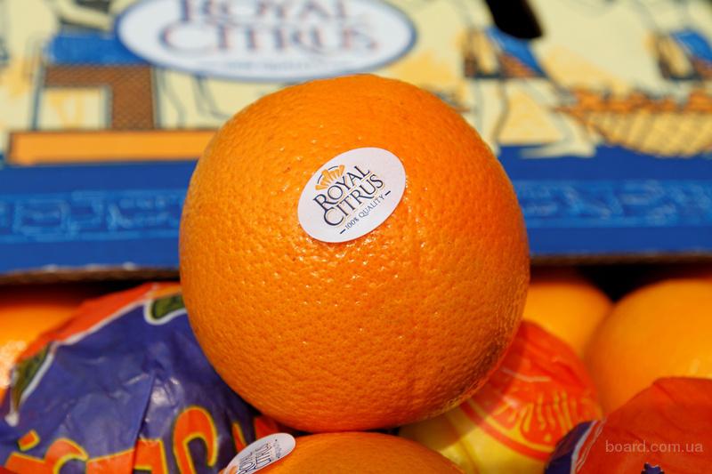 Апельсины и мандарины Royal Citrus™ - продам. Ціна 0.65 купити ...