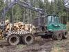 TIMBERJACK 1410D