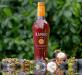 Xango