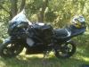aprilia