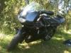 aprilia