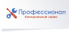 Мастер на час в Екатеринбурге - Компания «Профессионал 66»