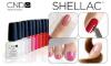 Наращивание ногтей, Shellac