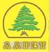 паркет дуб