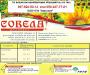 Десикант Совела (Десикаш)