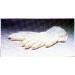 Latex Examination Gloves