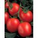 продам помидоры с поля