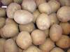 Продам картофель