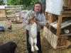 продам кроликов