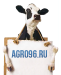 Насосы фекальные - Компания AGRO96