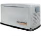 Газовый генератор GENERAC