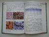 Книга по Эндокринологии
