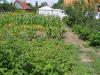 Продам участок в Ильичевске