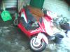 продам скутер viper storm 150cc
